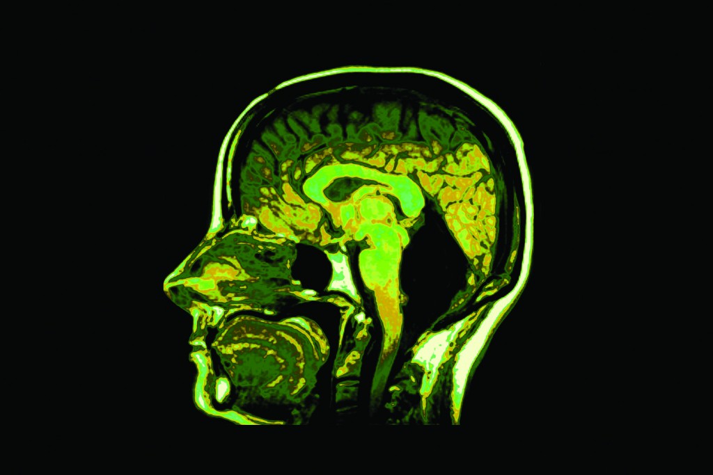 Cross section image of human head