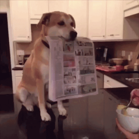 Un jeune homme lit un journal tenu ouvert par son chien tout en mangeant des céréales.