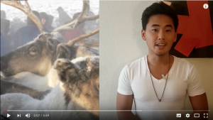 L’anthrax tue des centaines de rennes en Sibérie [VIDÉO]