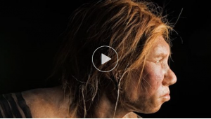 La preuve que Néandertal était cannibale [VIDÉO]