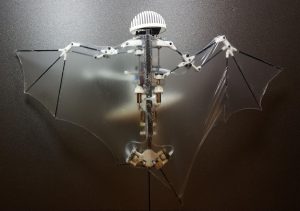Un robot qui s’inspire des chauve-souris [VIDÉO]