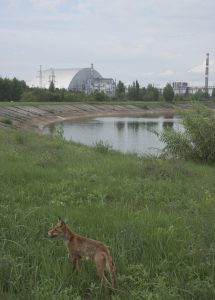 L’arche de Tchernobyl