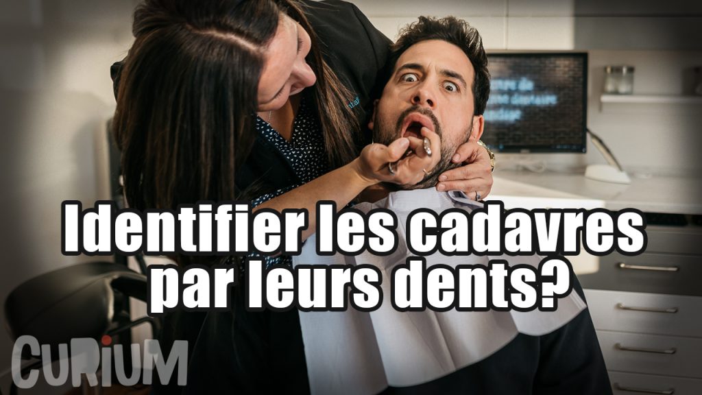 Métier insolite : Dentiste CSI – Temps Mort Épisode 2 [VIDÉO]