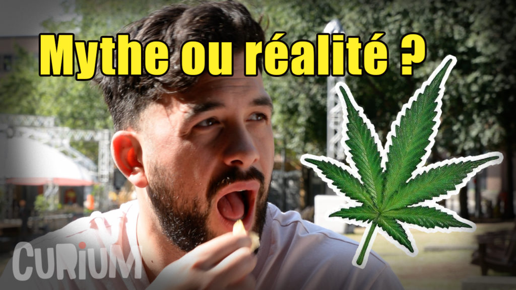 Les (vrais) effets du cannabis – Temps Mort Épisode 6