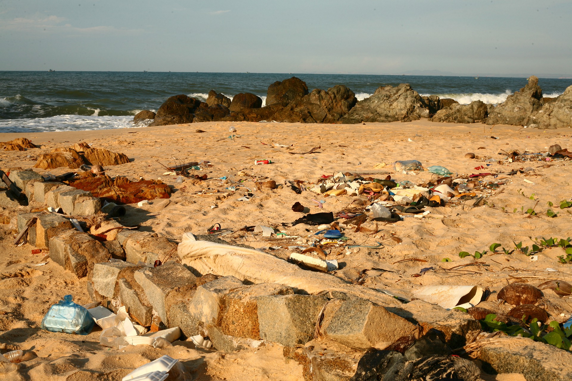 bioplastique-océan-pollution