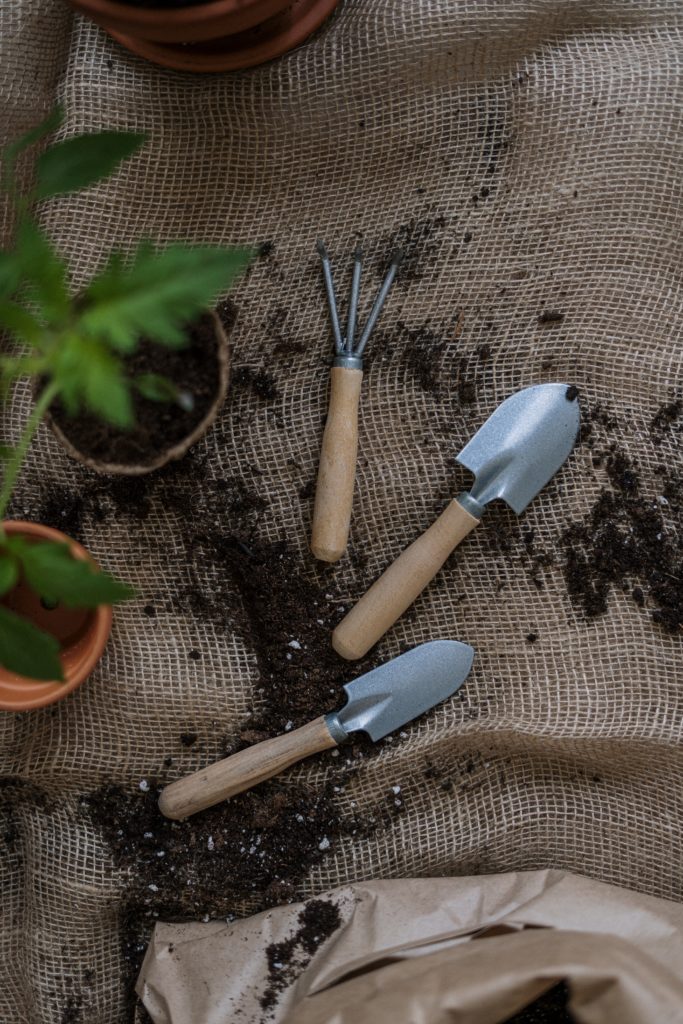 Les bénéfices du jardinage