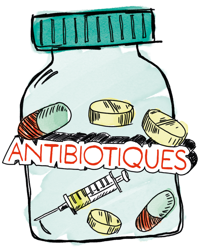 Info Doodle : Antibiotiques