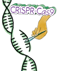 Info Doodle : CRISPR-Cas9