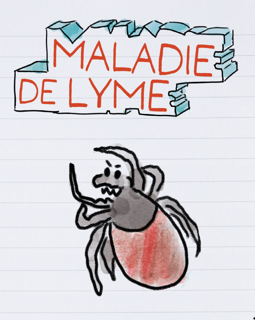 Info Doodle : Maladie de Lyme